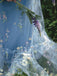 SCH004208_DBL