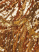 Goldenes 20er Kleid mit Pailletten und Fransen