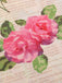 Multicolor 1950er Rose Bildhaft Gürtel Kleid