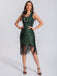 1920er V-Ausschnitt Quaste Pailletten Kleid