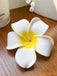 Weiß Plumeria Obtusa 3D-Blume Haarklammer