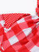 Rot 1950er Kariert Neckholder Bikini Set